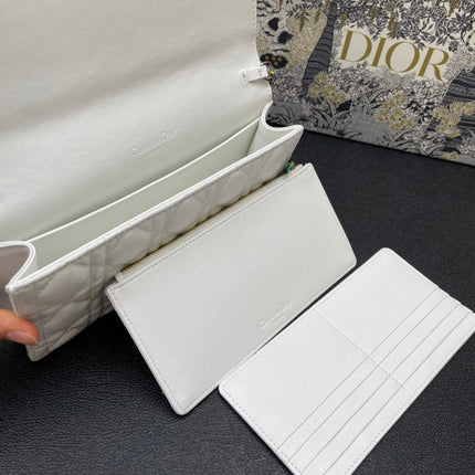 CARO SLIM POUCH 21 BAG IN WHITE CALFSKIN